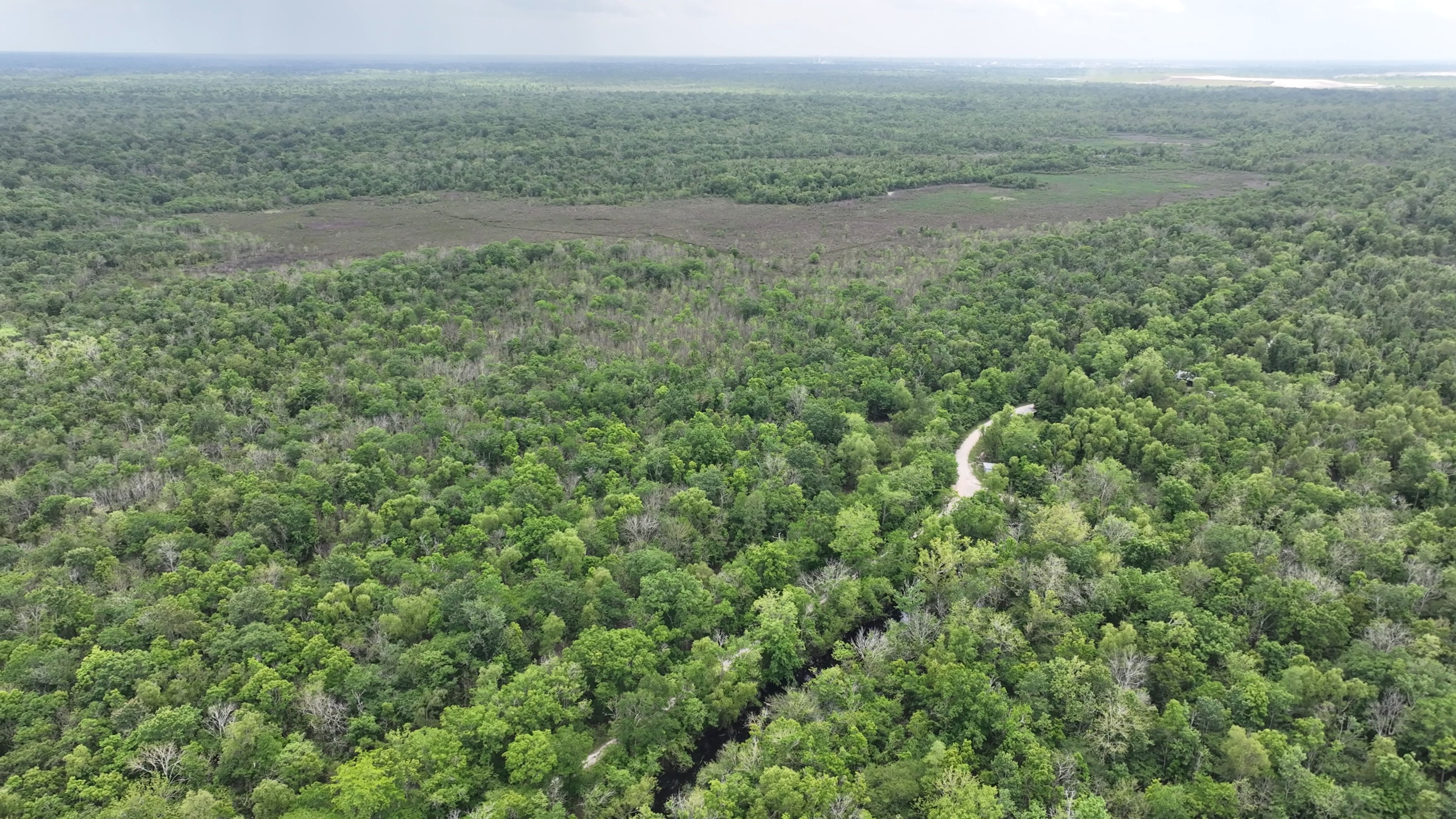 Listing Photo: Louisiana Alligator Hunting